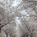 송해보건지소 이미지