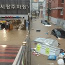 강남시장 이미지