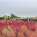 주차장매점 이미지