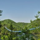 미르쉼터 | 진천 초평호 미르309 출렁다리 후기, 농다리부터 한 바퀴 4.7km 가족 산책코스