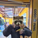 맘놓고우당탕탕 | 38주 임산부의 일상(부제. 파워P엄마의 우당탕탕 아기맞이)