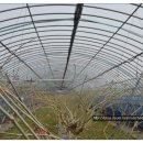 최고집농장 이미지