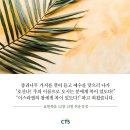 [CTS 말씀이미지] 요한복음 12장 13절 #말씀이미지 #감경철 #CTS #핸드폰배경화면 이미지