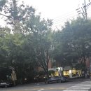 엘림 | 울산대공원카페 엘림하우스 시원한 팥빙수 내돈내산 후기