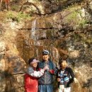 노리댕댕 이미지