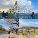 충청도 단양 가볼만한곳 모음집 : 당일치기 여행 가능한 뚜벅이의 여행 코스, 단양 가볼 만한 곳, 구경시장
