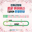 20250403 진해 군항제 여좌천 벚꽃 개화 상황, 중원로터리, 벚꽃축제 음식