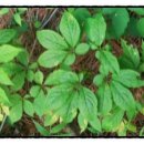 재림농장 이미지