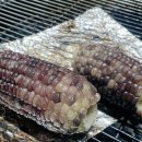 카라반파크아마존 이미지