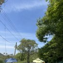 능산리 고분군 포토존 | [부여 여행] 1주년 기념 여행 코스! 맛집, 숙소, 역사 여행 총정리