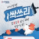 오룡안경 이미지