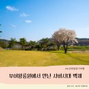 파란 하늘 아래 초록빛 능선을 걷다 - 부여왕릉원에서 만난 사비백제의 시간