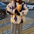 홈즈펫타운 이미지