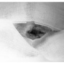 쿨펫동물병원 이미지