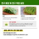 (주)엔젤식품 이미지