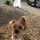 산청별천지캠핑장 이미지