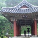 역전꼬막 이미지