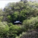 進伯 이해종 선생과 매죽정