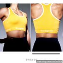 제품후기 : 하이서포트 스포츠브라 정착기 블루그레인 잘만브라