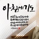 샬롬 Daum카페