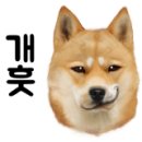 지니펫살롱 이미지