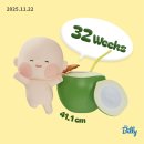파란만잔 파주운정점 | 뽀물이 32주차 아기 특징 정보&임산부 일기 일상들& 임신 32주차 태동 배크기 증상 건강 상태