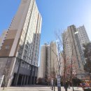 도담동늘봄초등학교 이미지