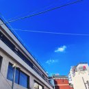 민락씨랜드시장 이미지