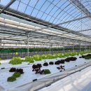 김인기농장 이미지