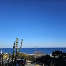 성심컨설팅공인중개사사무소 이미지