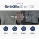 더화이트의원 이미지
