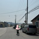 농협하나로마트청웅지점 이미지