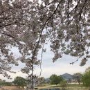 낙동강하천공원주차장 이미지