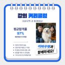 혁신애견미용 이미지