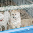 여주-0705 네이버블로그