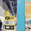 2024여름 궁디팡팡캣페스타 aka 궁팡고양이박람회 양재AT센터 첫날방문후기