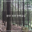 경천생활체육공원-2 | 완주 경천 편백숲길 전북천리길 운문골 마실길 사방댐 한쪽에 조성된 피톤치드 편백나무숲 가볼만한곳