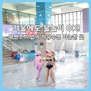 세진목욕탕 | 겨울에도 가기 좋은 화성 프로방스 율암 아쿠아스파 후기ㅣ주차·수영장·푸드코트 정보 총정리
