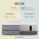 알레르망스핑크스여주375