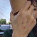 동대신3동(주민센터) 이미지
