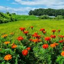 재인 농장 이미지