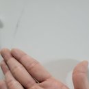 브래인드