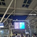 입석2구 | KTX 특실 과자 간식 서비스, 일반실 비교, 콘센트 위치 후기