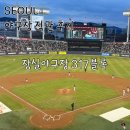 317 | 잠실 야구장 중앙 네이비석 317블록 18열 시야 후기 | 직관 먹거리