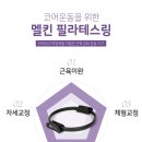 #멜킨스포츠#스포츠용품전문브랜드#(주)거성플러스이# #내전근 단련#내돈내산 #멜킨필라테스 실제사용 후기