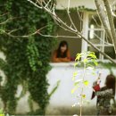 아미미술관 이미지