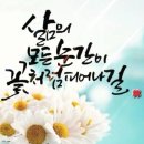 연한의원 Daum카페