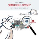 메리퀸양모