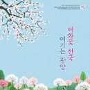 매화한의원 이미지