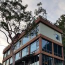 빠빠에피 이미지